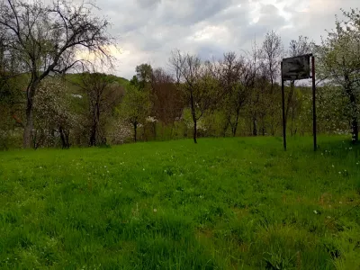 teren viran lângă casă vânzare cumpărare Provița de Jos Prahova